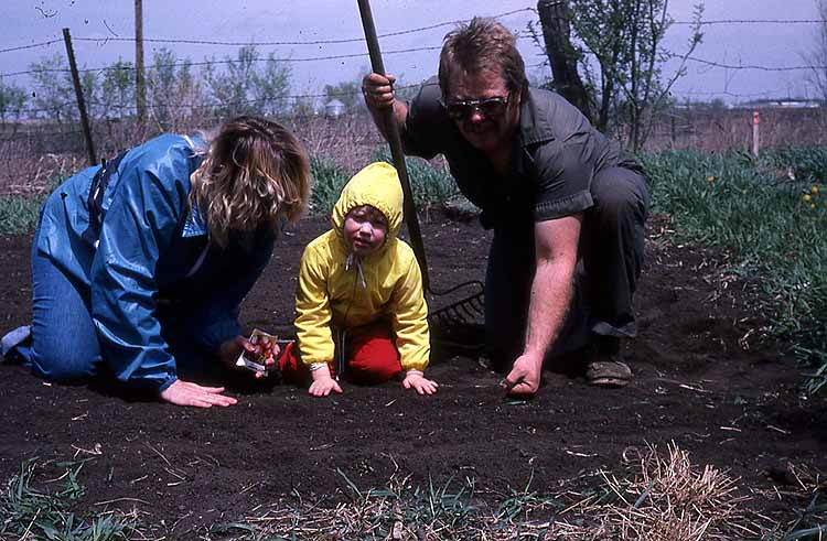 planting seeds